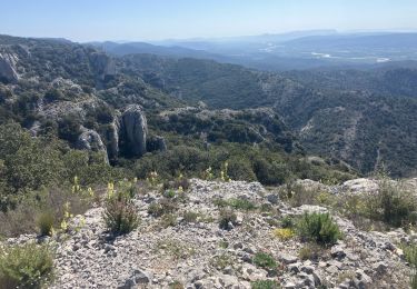 Trail Trail Cheval-Blanc - Font de l’Orme-Croix de Fer-Menerbes-Pic Faiendre(17K 950D+) - Photo
