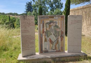 Trail Walking Saint-Rémy-de-Provence - Saint-Rémy-de-Provence - Lac de Peyrou -l es Antiques - Photo