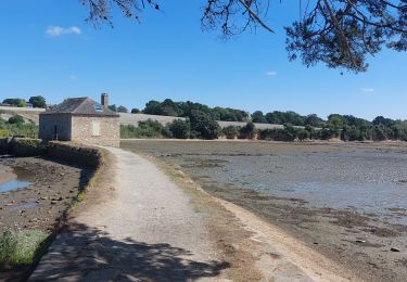 Trail Walking Arradon - PR_56_Arradon_EA_05_Les-2-Moulins_Circuit3a_20220827 - Photo