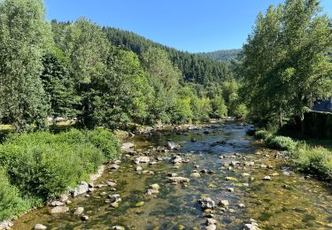 Randonnée Marche Avène - Avène La plaine de Sadde - Photo