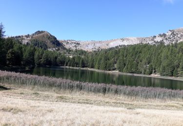 Tocht Stappen Le Lauzet-Ubaye - crête du col bas - Photo