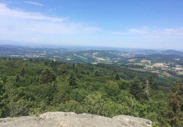 Tour Wandern Propières - Propieres roche ajoux  - Photo