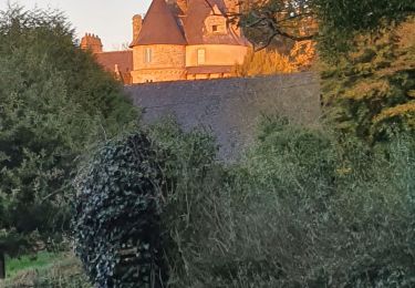 Tour Wandern Coadout - Coadout, saint Ildud - Photo