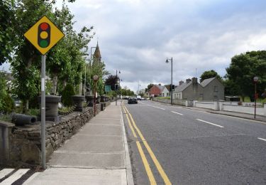 Tour Zu Fuß Claremorris-Swinford Municipal District - Shanwar Belgarrow Loop - Photo