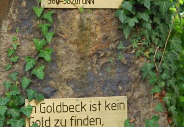 Tocht Te voet Rinteln - RI19 Rundwanderweg Goldbeck - Photo