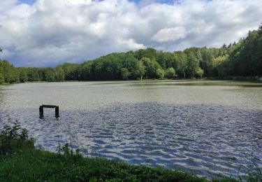 Trail Walking Heimsbrunn - Galfingue et retour  - Photo