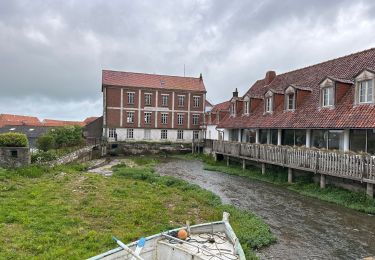 Tour Wandern Wissant - Wissant Cap Gris Nez Batterie Todt 23 km - Photo