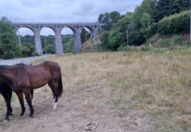 Tocht Stappen Bütgenbach - GR 56 WAIMES - BUTCHENBACH - Photo