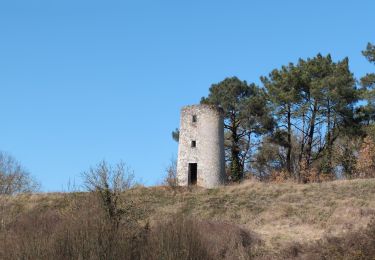 Trail Walking Cormery - Cormery gare - Tauxigny - 19.5km 170m 4h35 (40mn) - 2025 03 02 - Photo