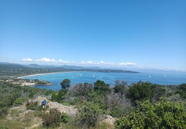 Tocht Stappen Ramatuelle - L'Escalet au cap Camarat  - Photo