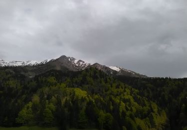 Trail On foot Oltre il Colle - IT-221 - Photo