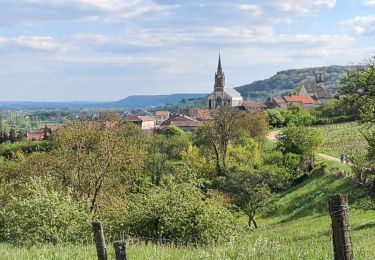 Excursión Senderismo Bruley - Bruley Lucey par les vignes et la forêt  - Photo