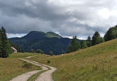 Trail Walking Billiat - etape 24 : ferme Retord - chalet d'arvières - Photo