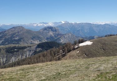 Excursión Senderismo La Robine-sur-Galabre - ainac geruen 1024m 17kms - Photo