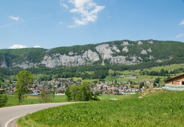 Excursión A pie Balm bei Günsberg - Balmberg Passhöhe - Welschenrohr - Photo