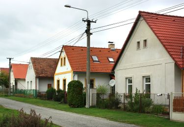 Tour Zu Fuß Stráž nad Nežárkou - [Ž] Smírčí Vrch - Stráž nad Nežárkou - Photo