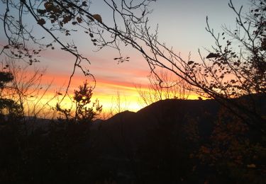 Trail Walking Saint-Julien-en-Quint - Puy de la Gagere, Porte d’Urle - Photo