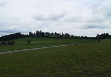 Tour Wandern La Chaux-de-Fonds - la cibourg - Photo