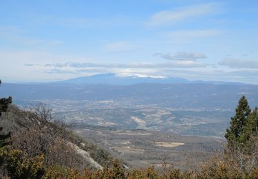 Randonnée Marche Cucuron - PF-Cucuron - Le Mourre Nègre à partir de Cucuron - Reco - Photo