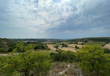 Trail Walking Barguelonne-en-Quercy - Bagat - saint pantaleon - Photo