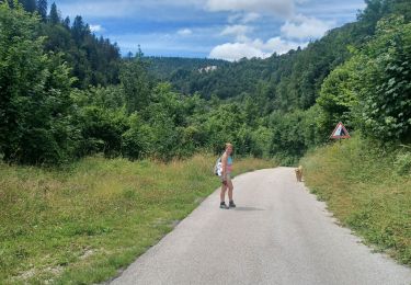 Trail Walking Hauts de Bienne - Le trou bleu Morez - Photo