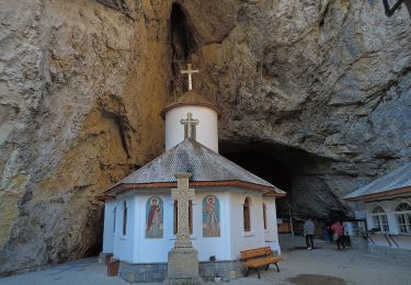 Percorso A piedi  - Fosta cabană Vârful cu Dor - Cabana Bolboci - Photo