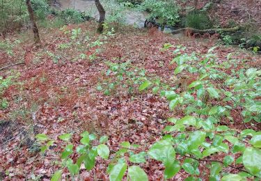 Randonnée Marche Escource - esoiurce - Photo