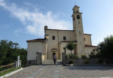 Tour Zu Fuß Mezzomerico - Sentiero Novara tappa 12 - Photo