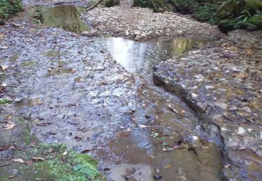 Percorso Marcia Ornans - Ornans cascade Boneille - Photo
