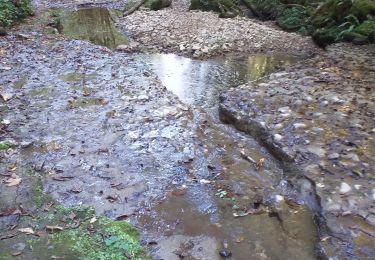 Trail Walking Ornans - Ornans cascade Boneille - Photo