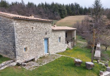 Trail Walking Aurel - Jas de Taramate - Photo
