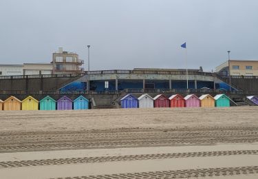 Randonnée Marche nordique Le Touquet-Paris-Plage - Boucle marche nordique en solo - Photo