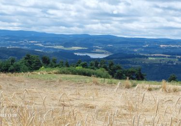 Trail Walking Le Bouchet-Saint-Nicolas - Etape 2 Bouchet st Nicolas  Pradelles  - Photo