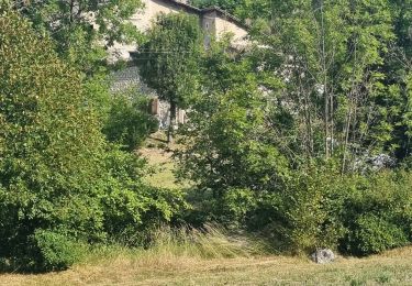 Tour Pfad Aurel - petit trail de 5km depart camping colombe - Photo