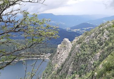 Trail Walking Orbey - orbey lac noir et lac blanc - Photo