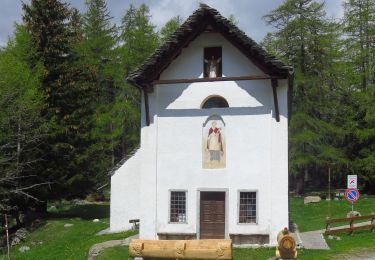 Tocht Te voet Bognanco - (SI E57) Rifugio Alpe Laghetto - Rifugio San Bernardo - Photo