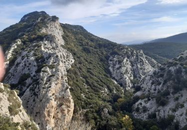 Trail Miscellaneous Termes - termes 1ere boucle - Photo