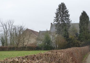 Randonnée A pied Landen - Toegankelijke Zevenbronnenwandeling - Photo