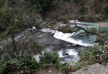 Trail Walking Fontaine-de-Vaucluse - fontaine de Vaucluse  - Photo