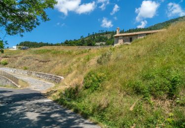 Tocht Stappen Le Castellard-Mélan - Auribeau depuis Melan - Photo