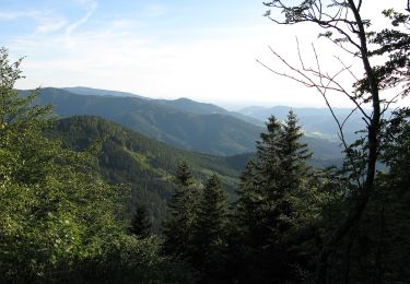 Randonnée A pied Elzach - Wolfsgrube - Unterer Schönbuhl - Photo