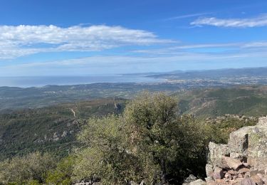 Randonnée Marche Fréjus - Esterel  - Photo