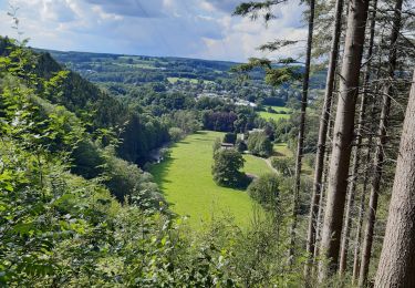 Tocht Stappen Stavelot - challes . lodomez . villers . lodomez . challes - Photo