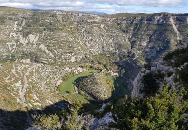 Tour Wandern Saint-Maurice-Navacelles - le cirque de Navacelles - Photo