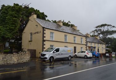 Percorso A piedi Castlebar Municipal District - Tóchar Phádraig - Photo