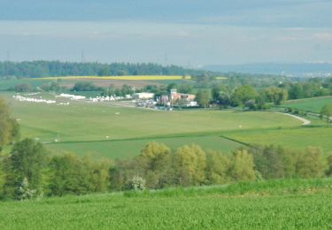 Percorso A piedi Beuren - blaue Raute Dettingen Tiefenbachtal - Photo