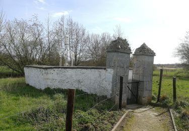 Randonnée Marche Rebecq - Quenast - Saintes & son puits de Sainte Renelde - Photo