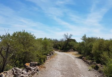 Trail Bicycle tourism Narbonne - Narbonne - Leucate - Photo