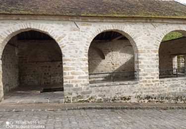 Percorso Marcia Samois-sur-Seine - Django Gilles  - Photo