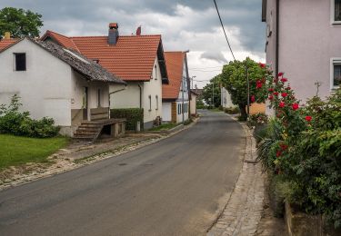 Randonnée A pied Litzendorf - Rundweg von Schammelsdorf zum Gügel - Photo